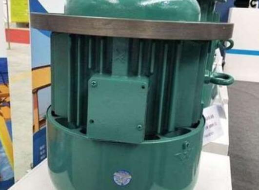 轴电流量对龙门吊电机的损坏有多大？